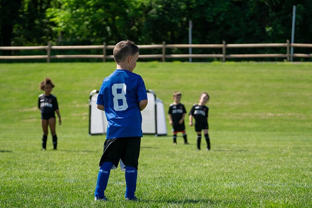 他的篮板控 他的篮板控