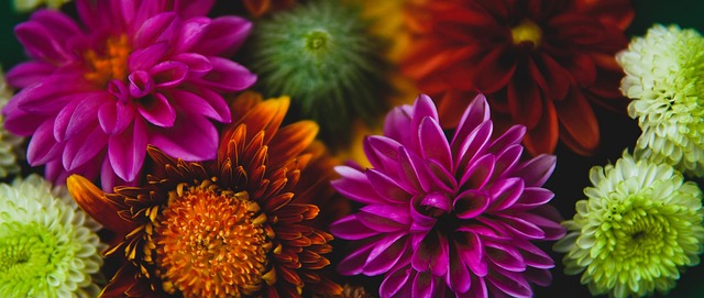 仍然保持着 仍然保持着