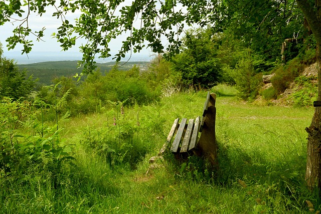 本赛季的活 本赛季的活