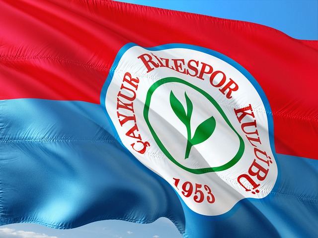 布克的职业 布克的职业