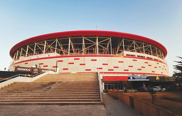 这意味着他 这意味着他