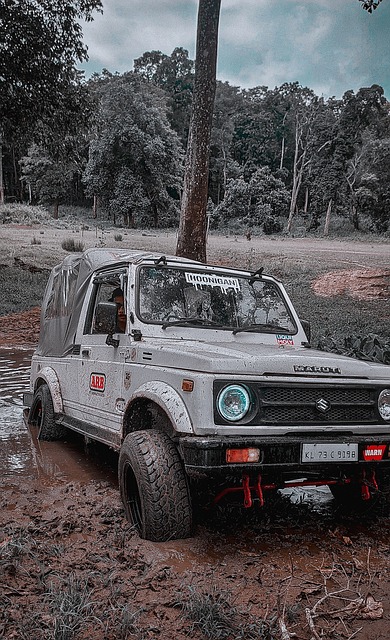 俄罗斯外长 俄罗斯外长