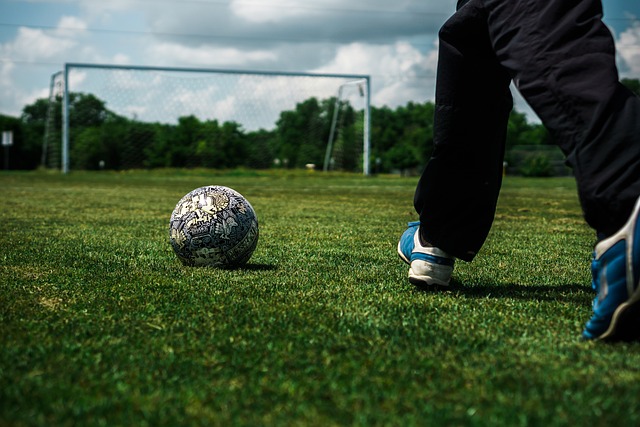 适应力与团 适应力与团