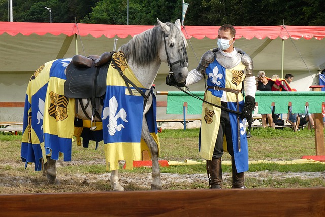 术领域表现 术领域表现