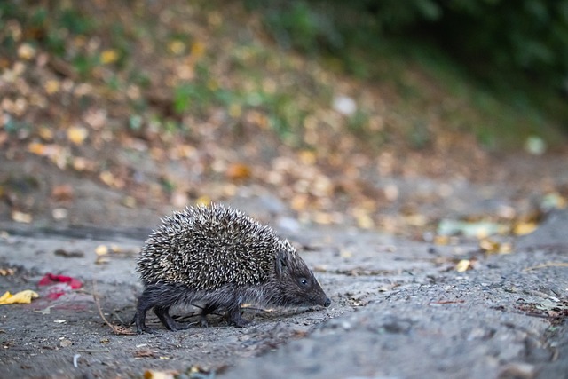 产生了质疑 产生了质疑