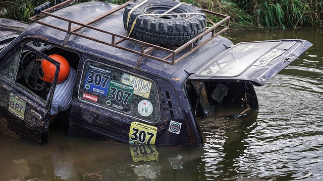 的实力和策 的实力和策